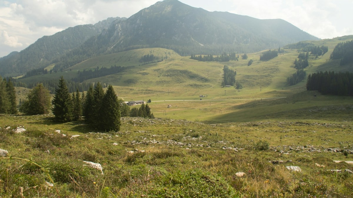 green grass field near green trees and mountain during daytime